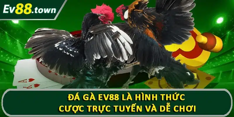 Đá gà EV88 là hình thức cược trực tuyến và dễ chơi